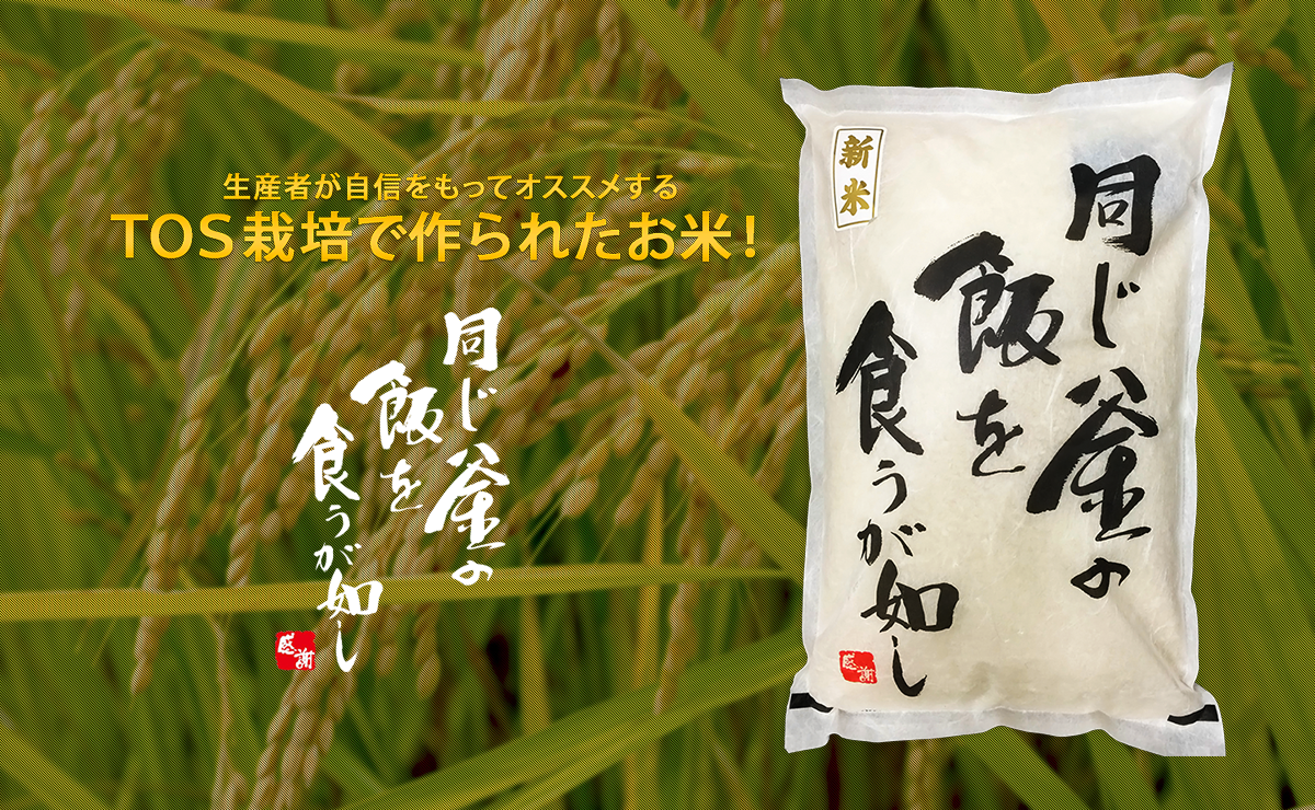 Rice / 同じ釜の飯を食うが如し